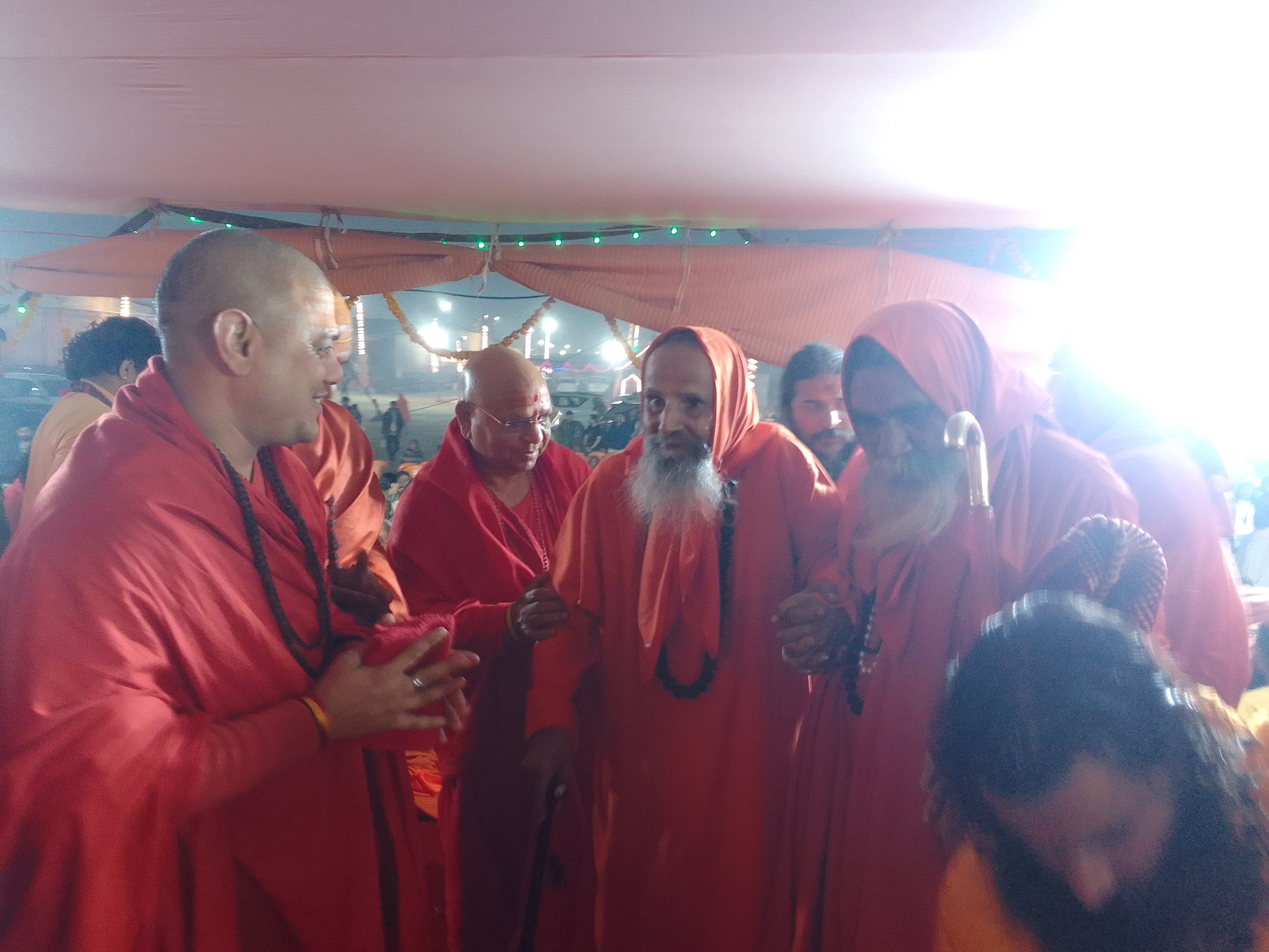 Gau Seva and gaushala care.